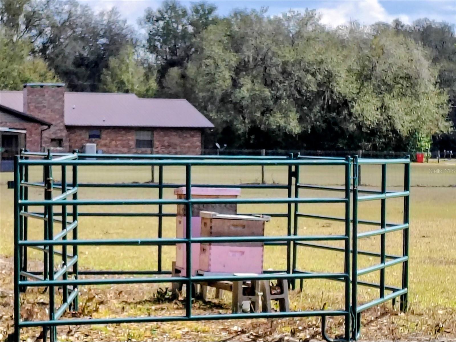 14240 Sr 471 Webster FL 33597 G5108350 image43