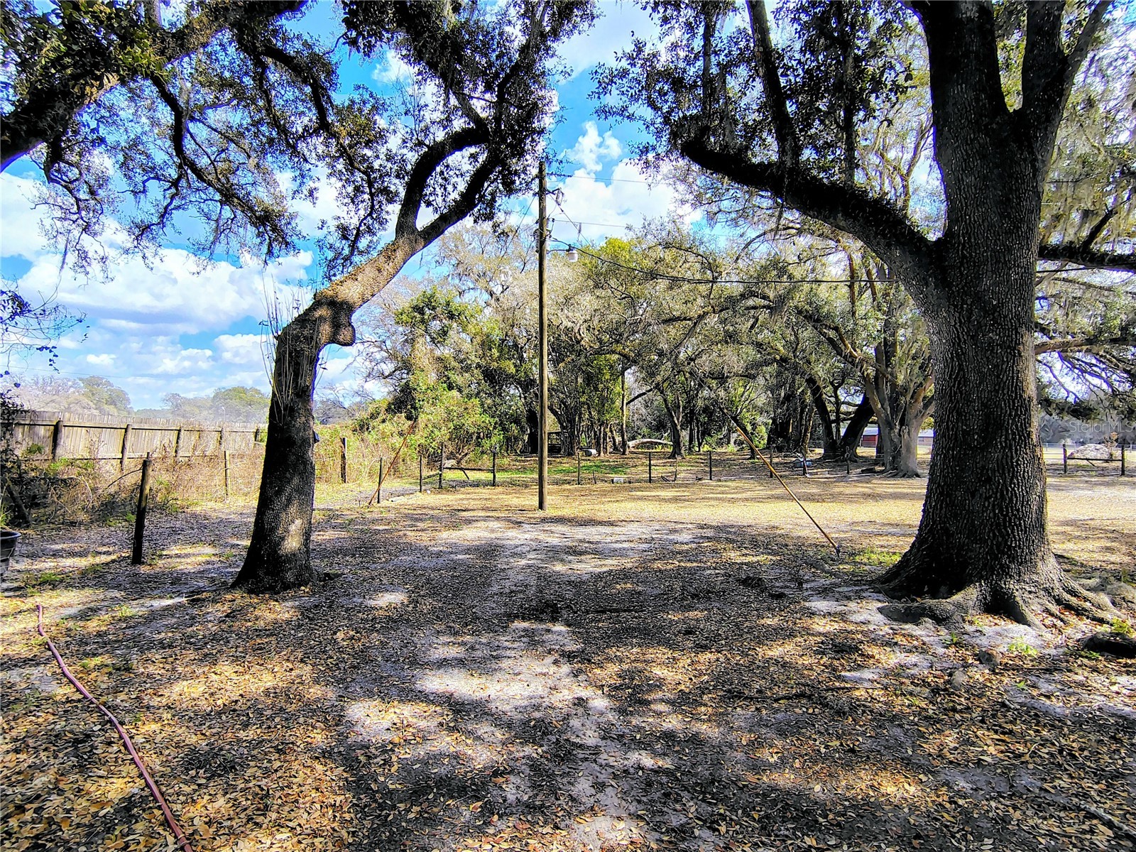 14240 Sr 471 Webster FL 33597 G5108350 image44