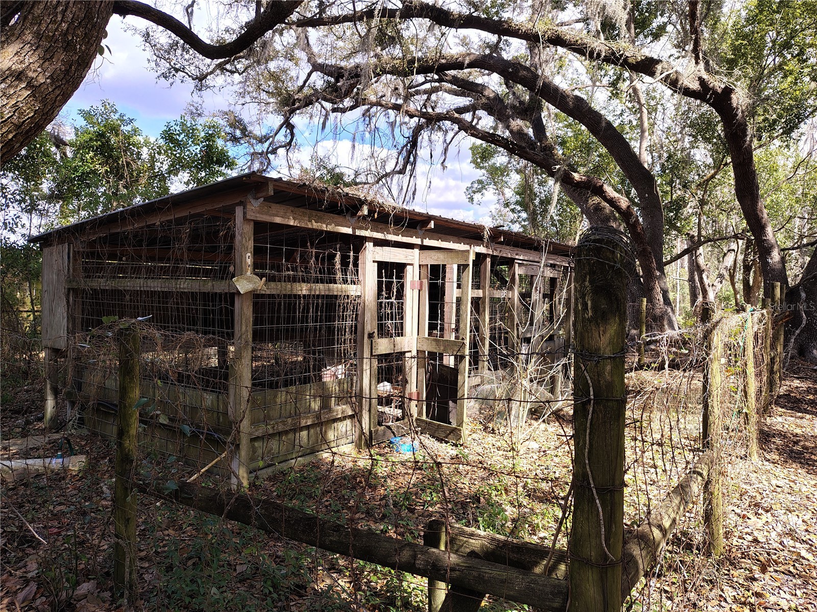 14240 Sr 471 Webster FL 33597 G5108350 image46