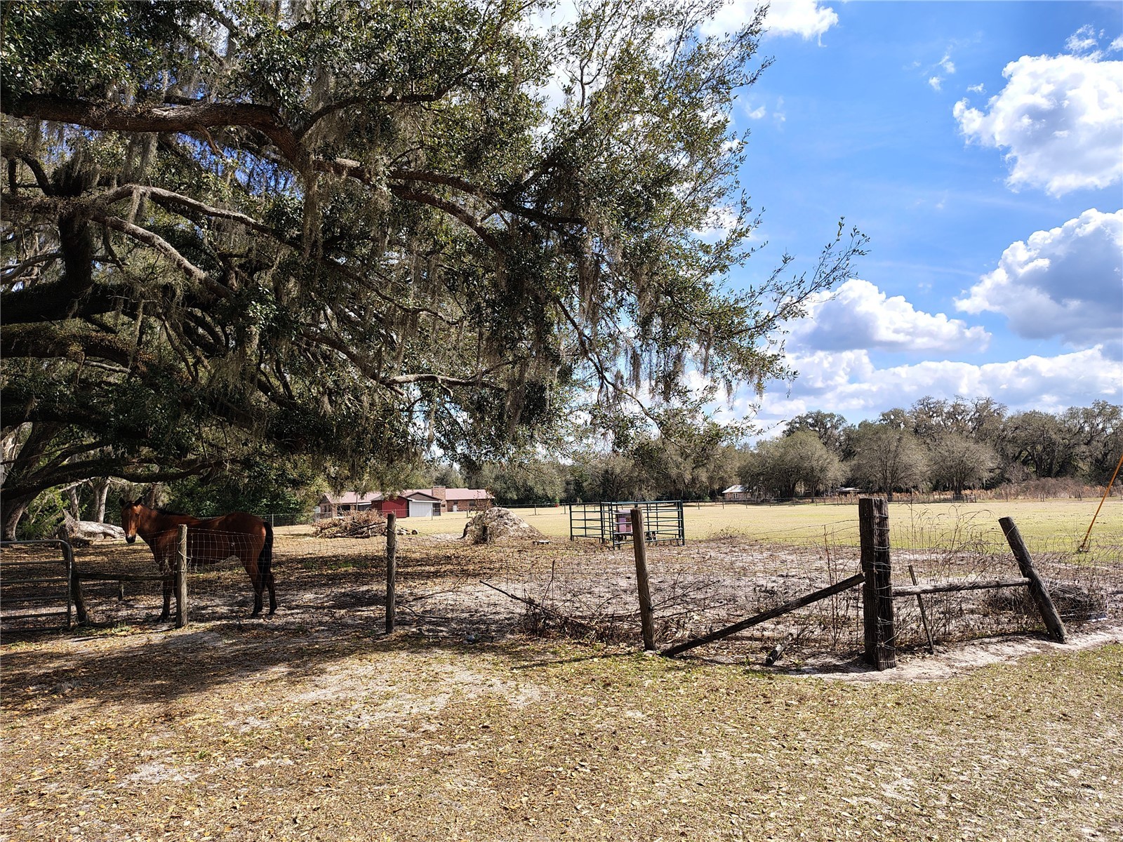 14240 Sr 471 Webster FL 33597 G5108350 image47