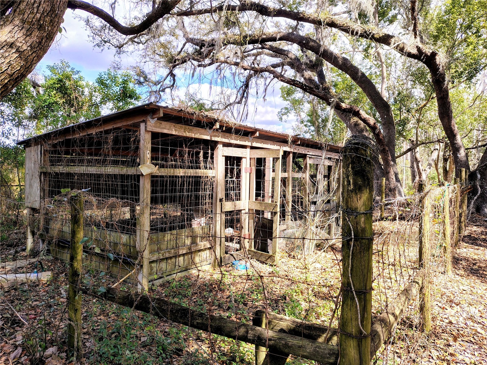 14240 Sr 471 Webster FL 33597 G5108350 image5