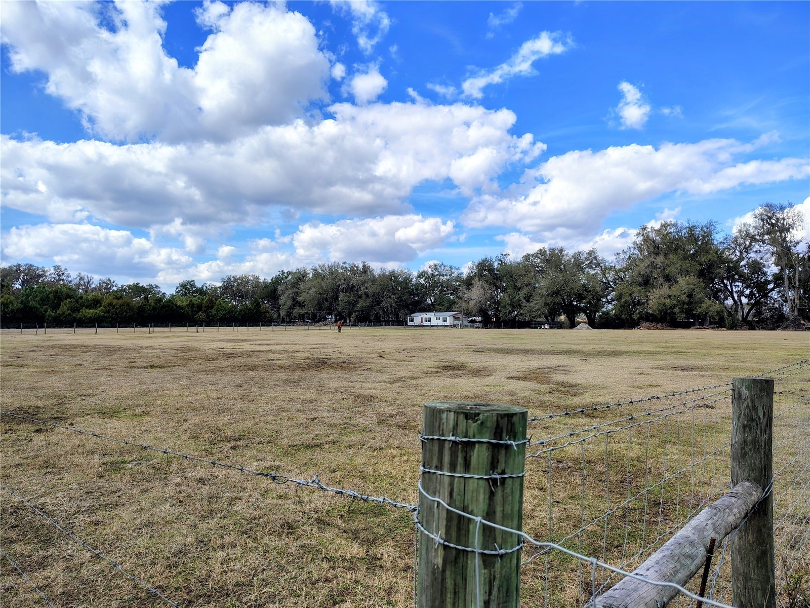 14240 Sr 471 Webster FL 33597 G5108350 image50