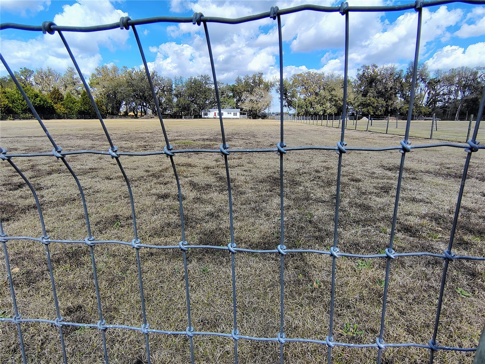 14240 Sr 471 Webster FL 33597 G5108350 image52