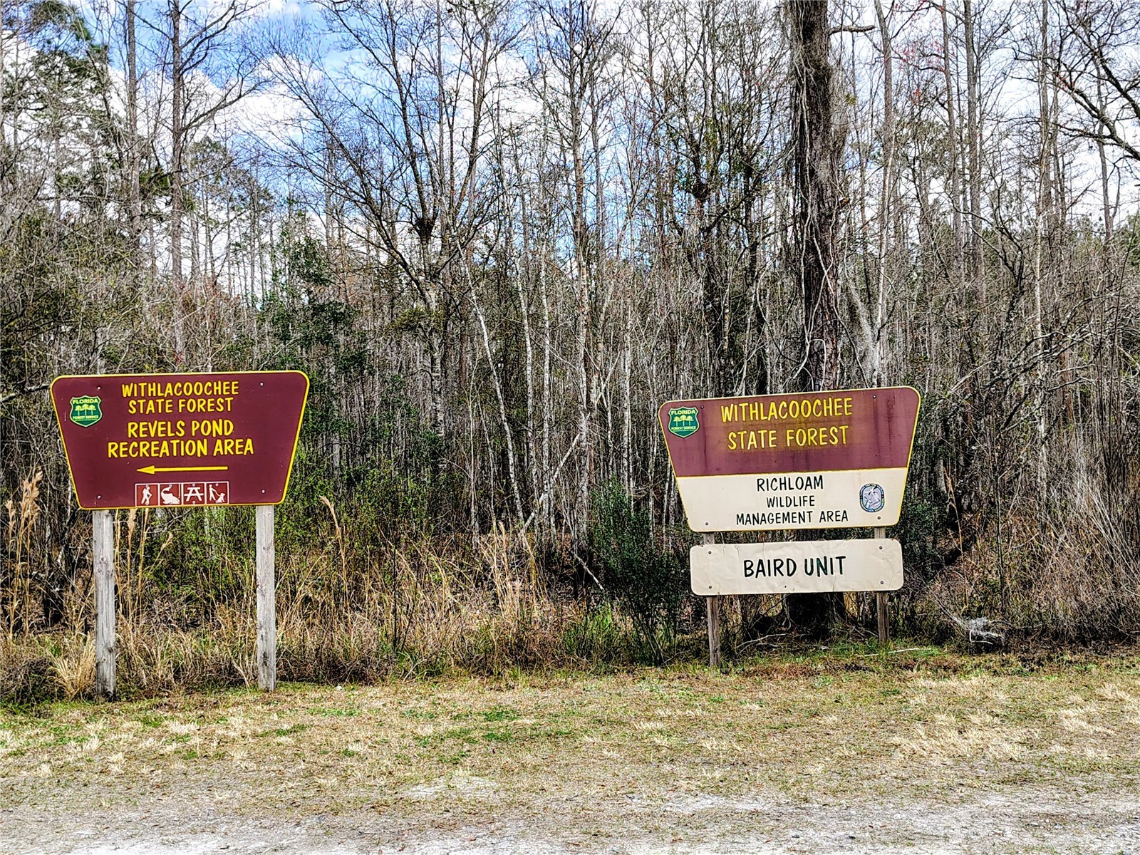 14240 Sr 471 Webster FL 33597 G5108350 image53