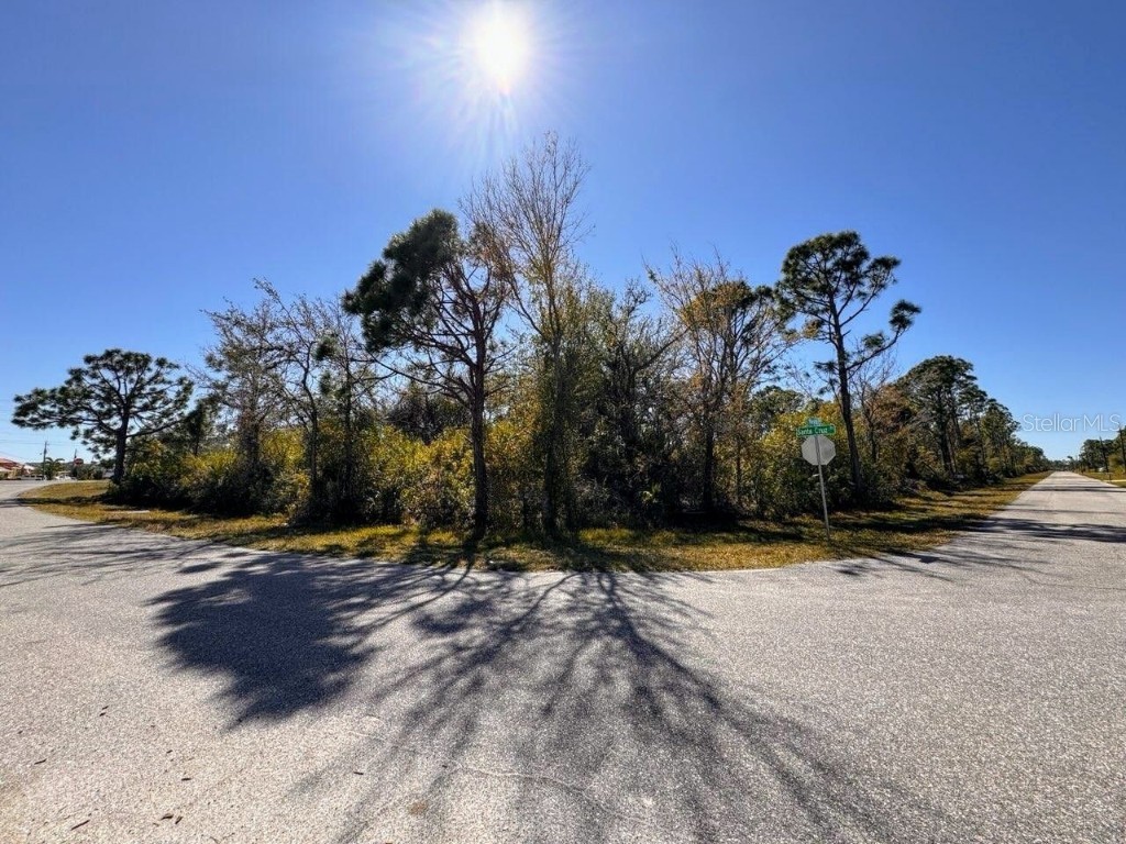 14241 Naylor Avenue Port Charlotte FL 33981 D6133818 image1