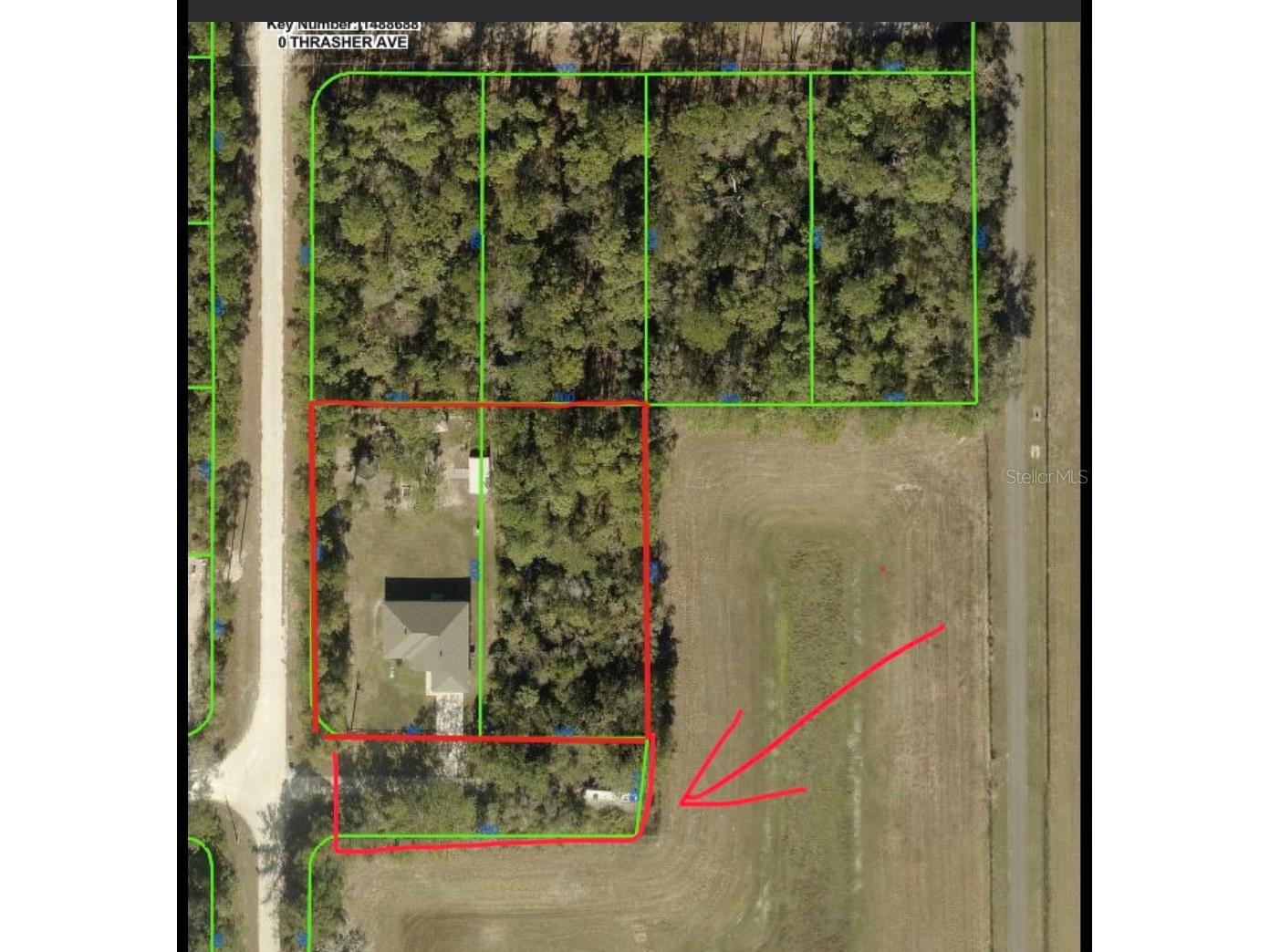 14241 Ravine Avenue Weeki Wachee FL 34614 W7885652 image47