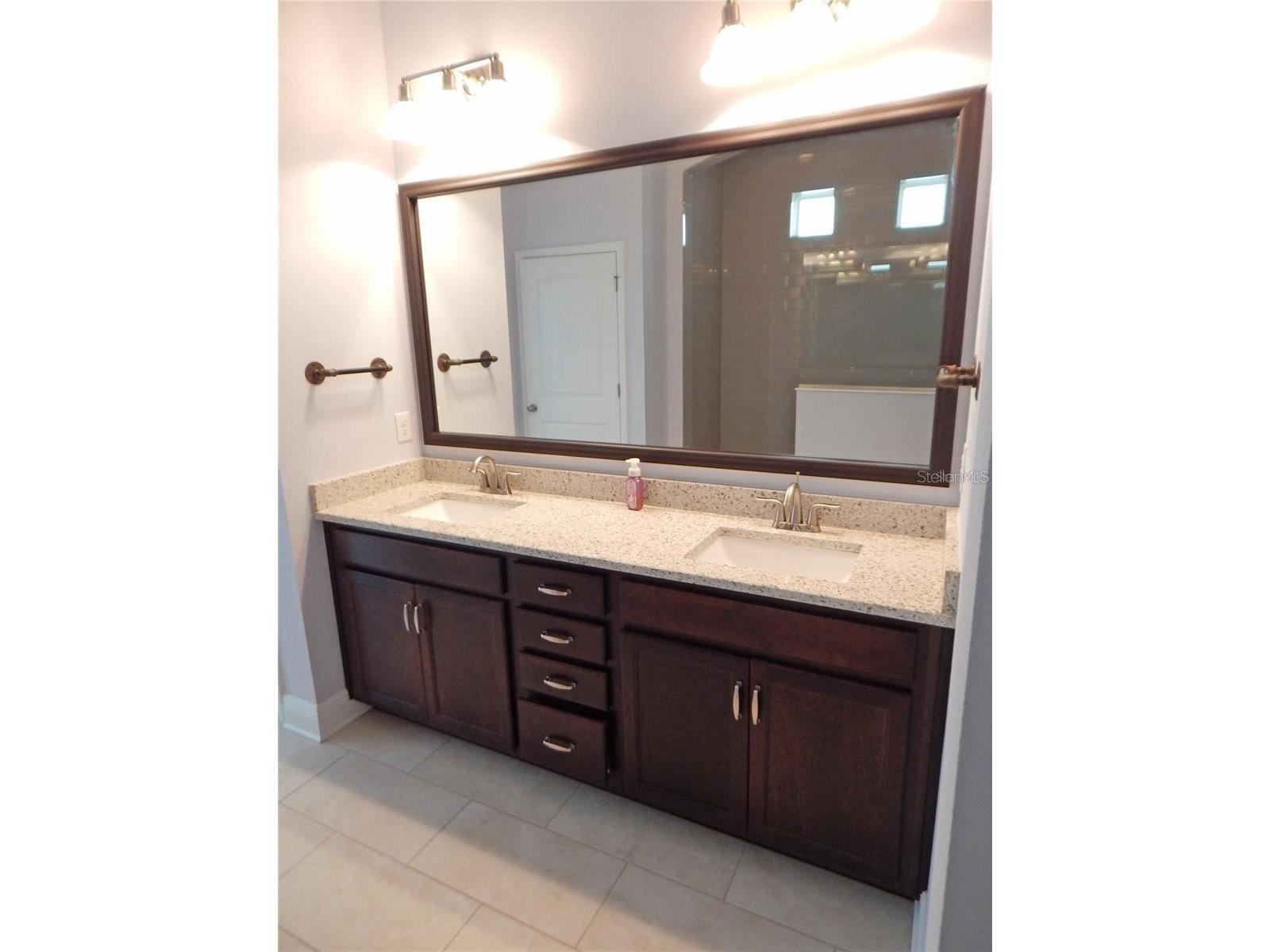 14242 Natures Reserve Drive Lithia FL 33547 TB8506770 image19