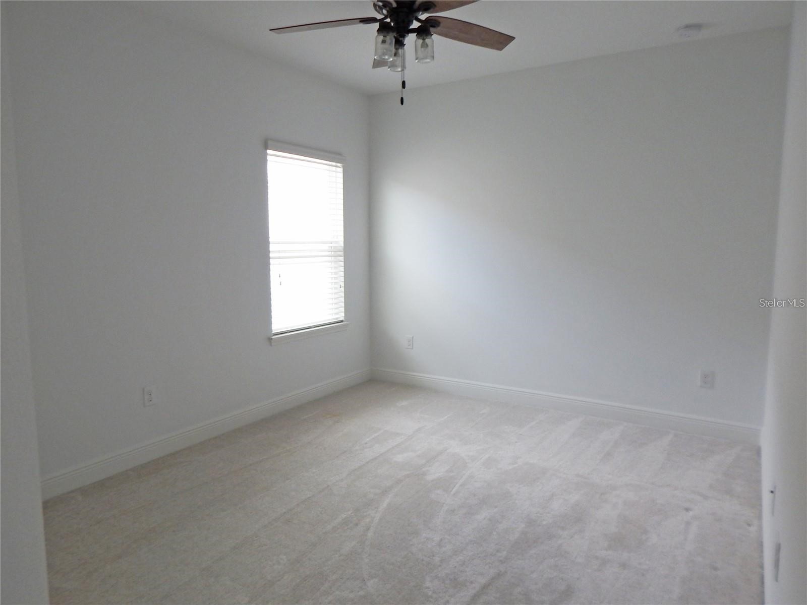 14242 Natures Reserve Drive Lithia FL 33547 TB8506770 image22