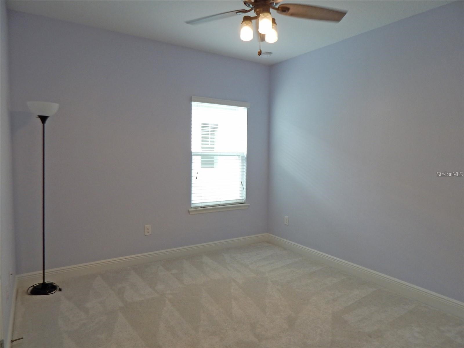 14242 Natures Reserve Drive Lithia FL 33547 TB8506770 image25