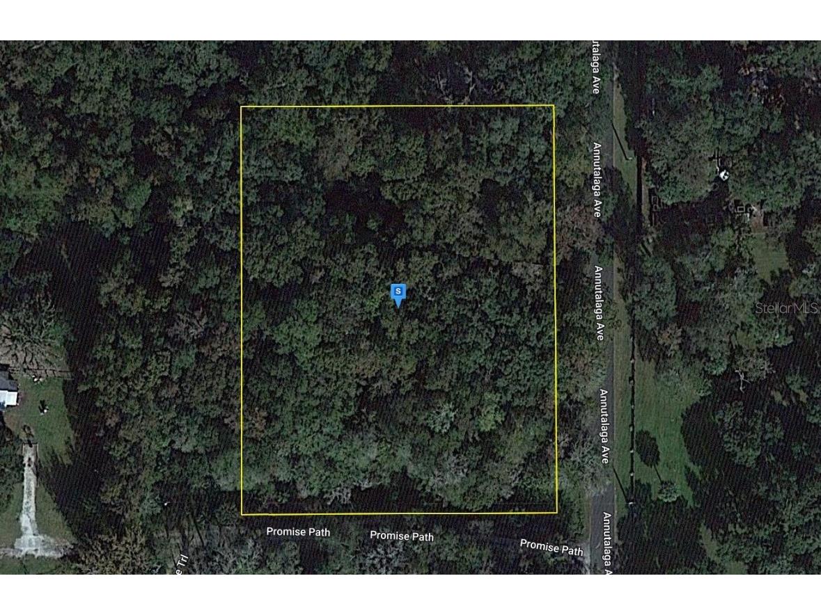 14243 Annutalaga Avenue Brooksville FL 34601 A4577877 image1