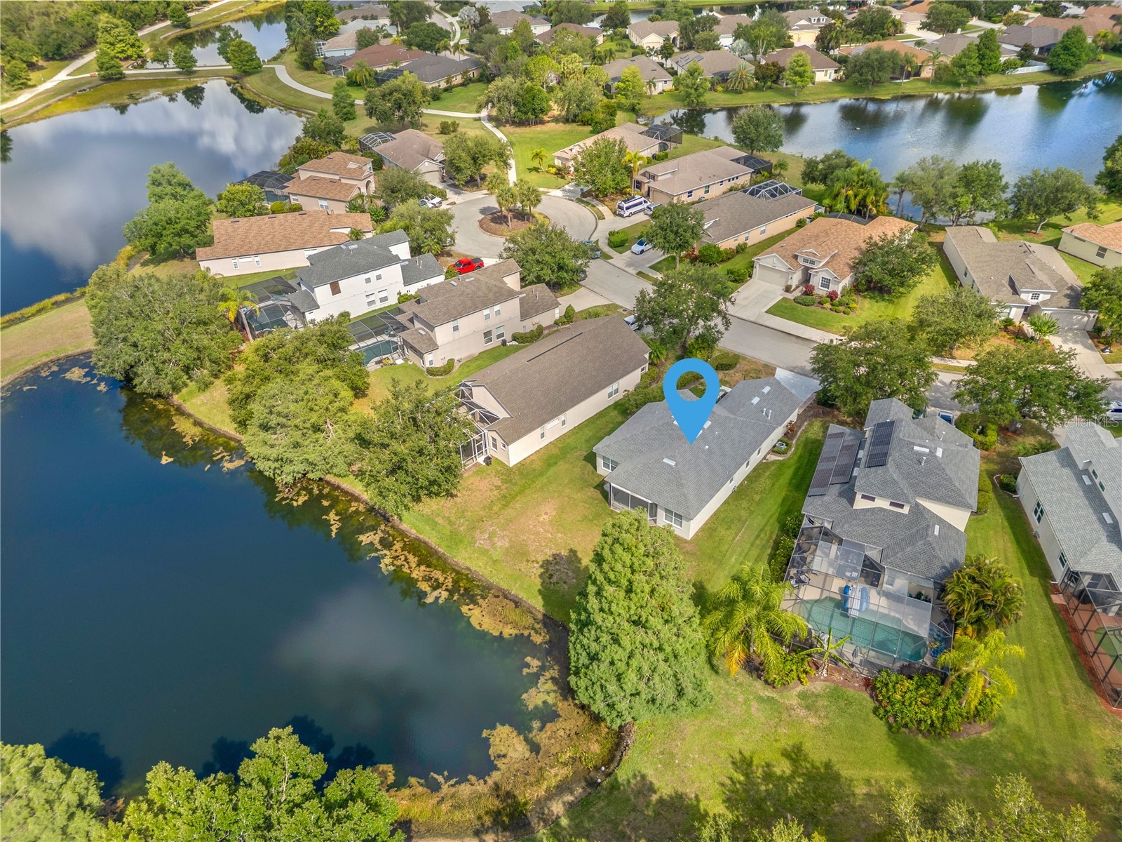 14243 Cattle Egret Place Bradenton FL 34202 A4696693 image46