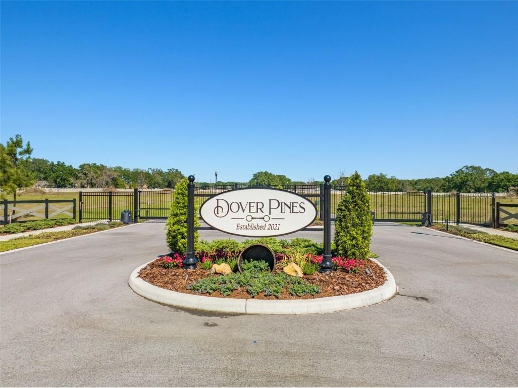 14243 Pine Straw Court Dover FL 33527 T3543403 image1