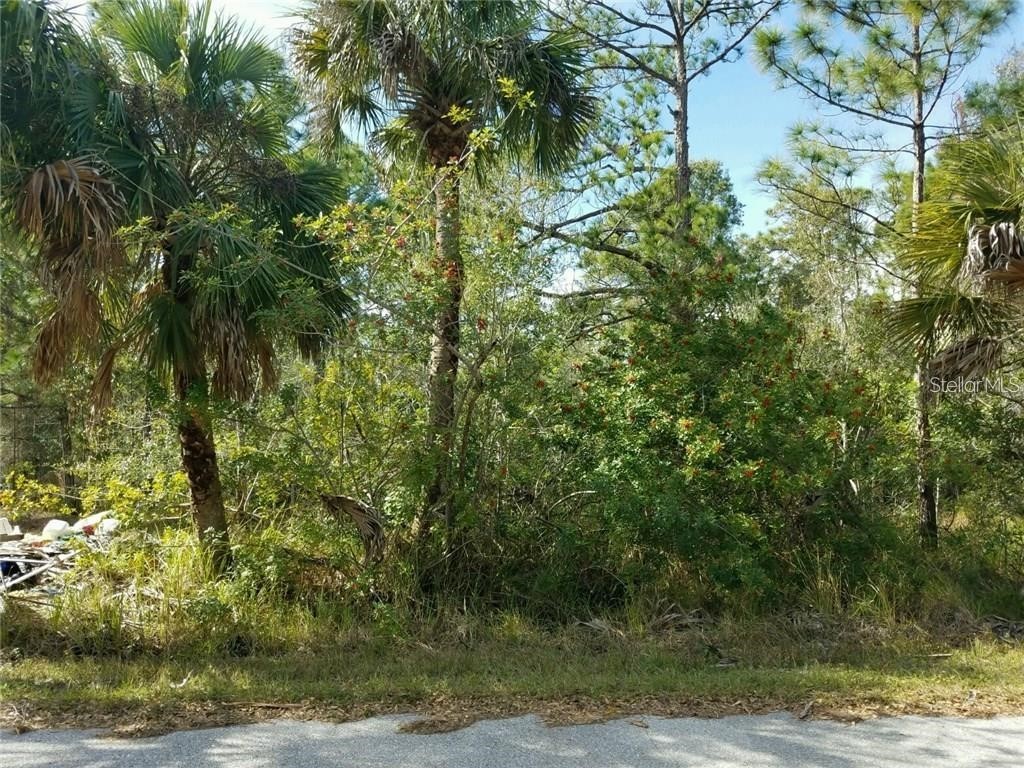 14244 Carney Avenue Port Charlotte FL 33953 C7448790 image1