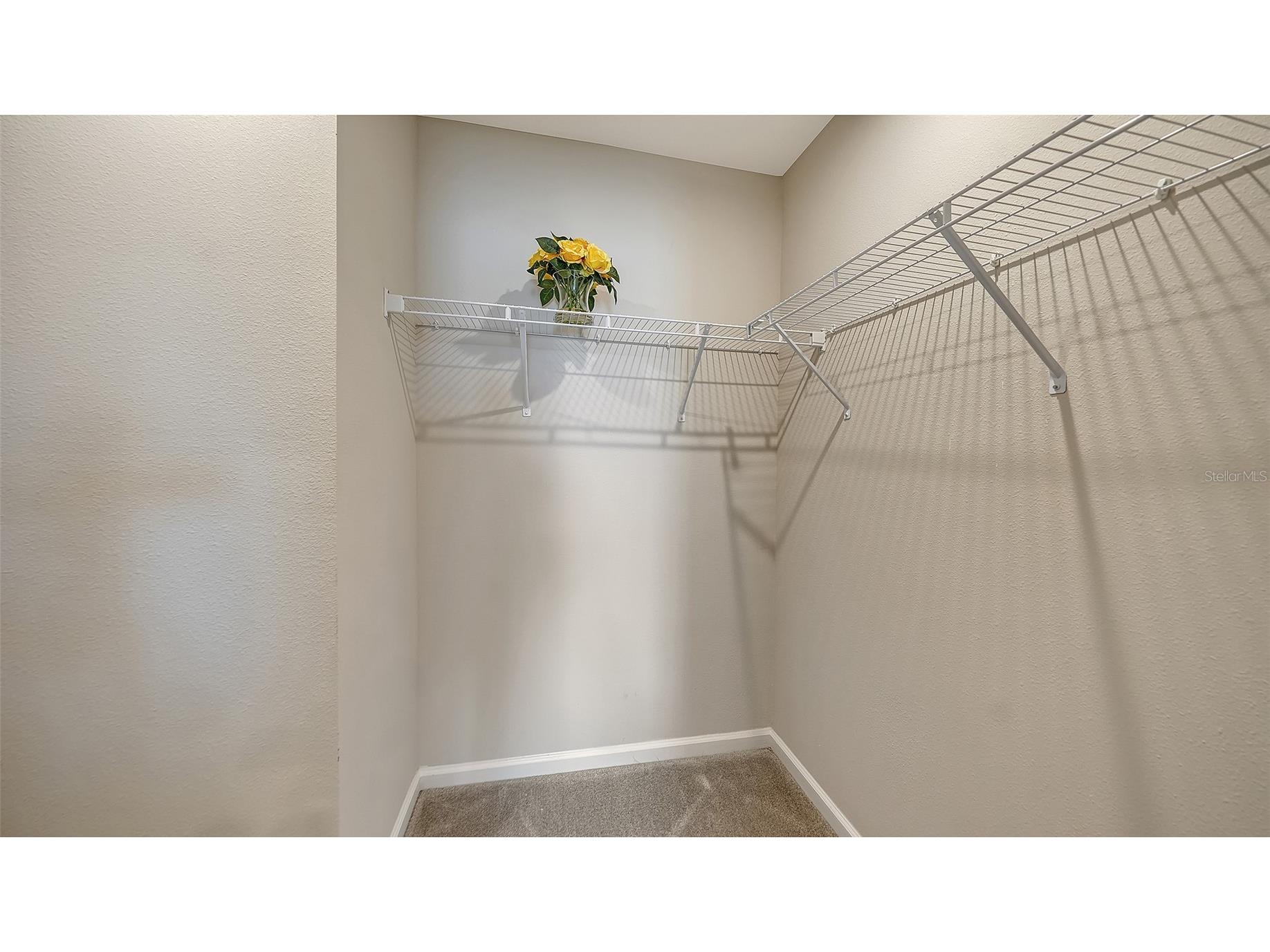 14244 Crimson Avenue Bradenton FL 34211 A4679428 image30