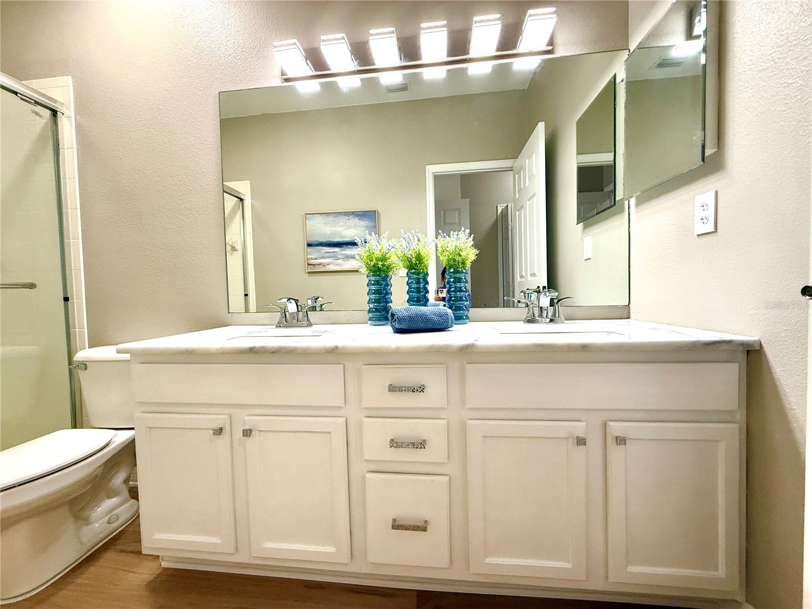 14244 Waterville Circle Tampa FL 33626 TB8512683 image33