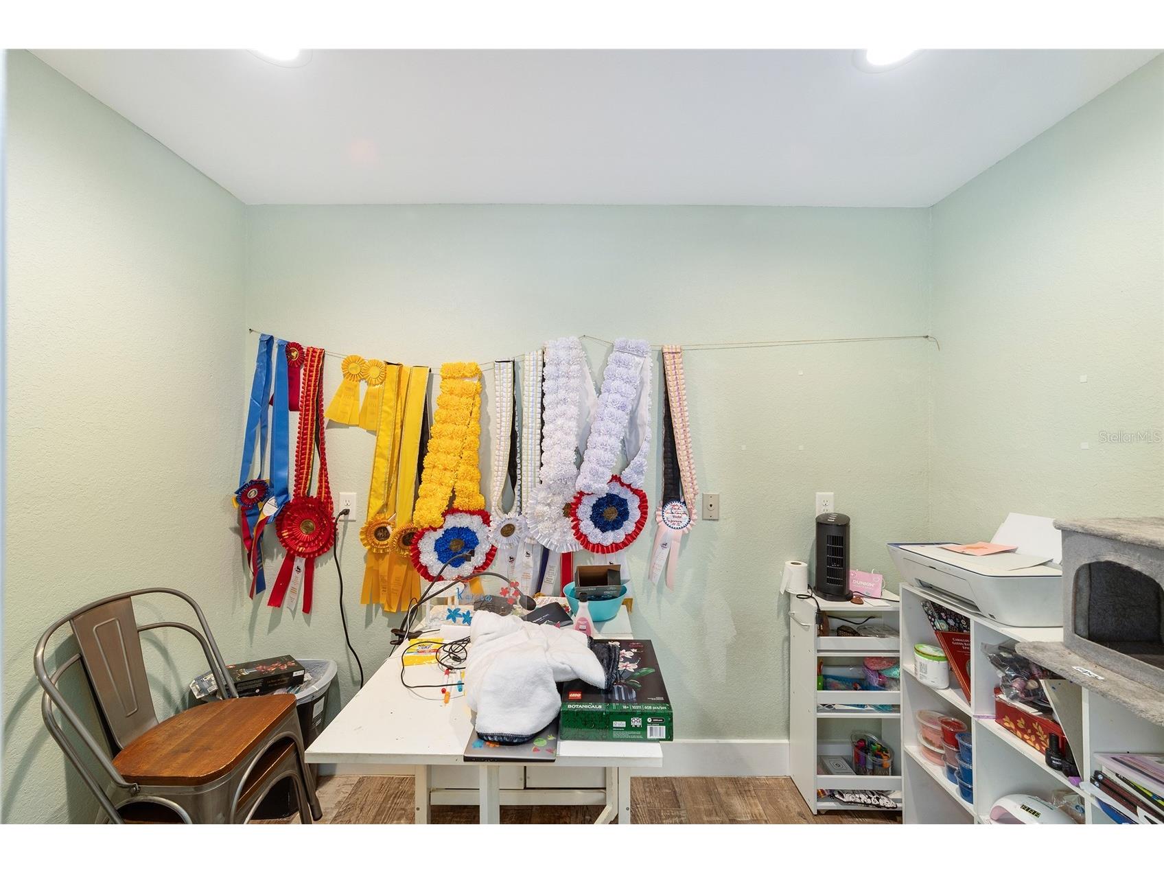 14245 SE 25th Avenue Summerfield FL 34491 OM717411 image33