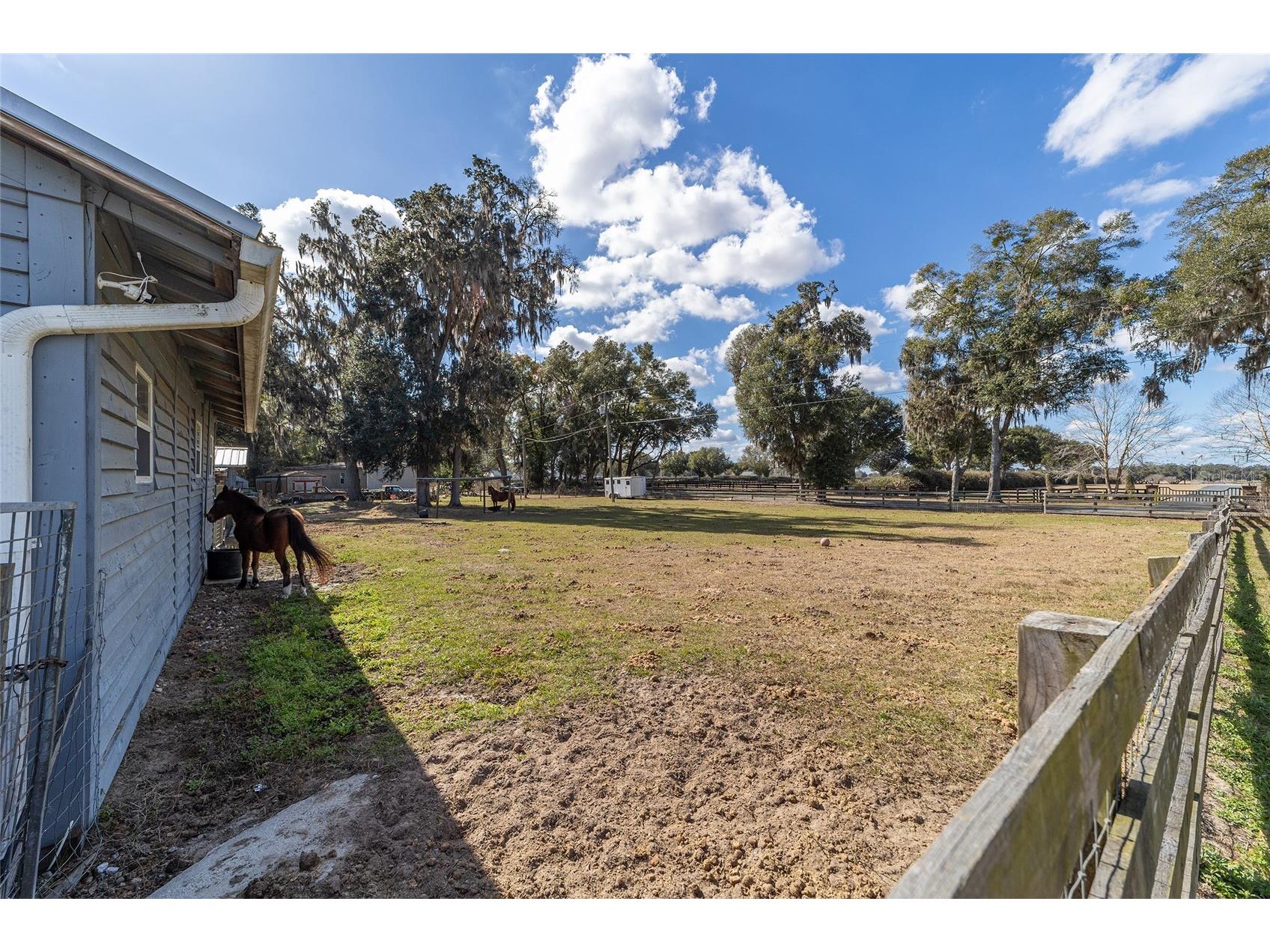 14245 SE 25th Avenue Summerfield FL 34491 OM717411 image45