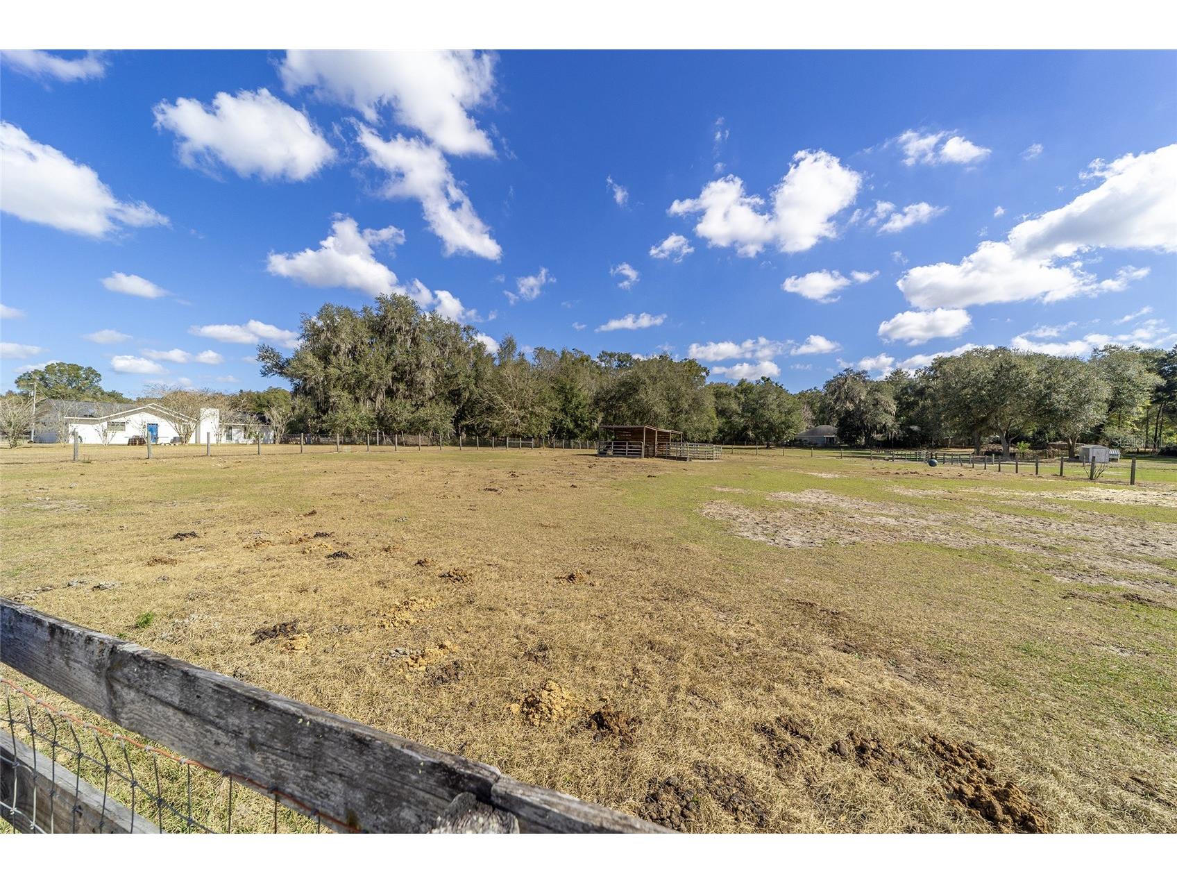 14245 SE 25th Avenue Summerfield FL 34491 OM717411 image46