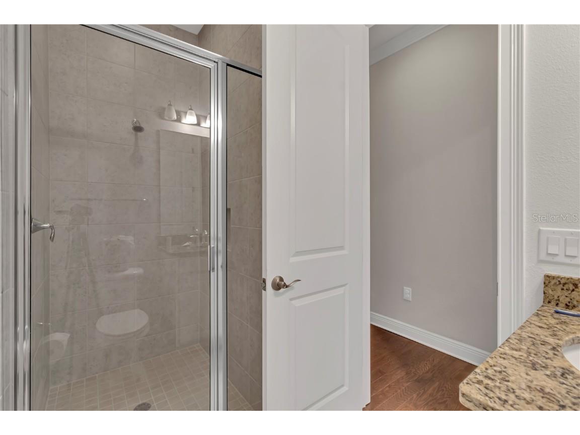 14246 Creekbed Circle Winter Garden FL 34787 O6341945 image15