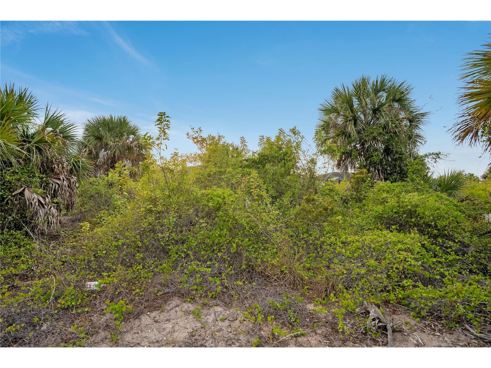 14246 Fort Worth Circle Port Charlotte FL 33981 O6392721 image6