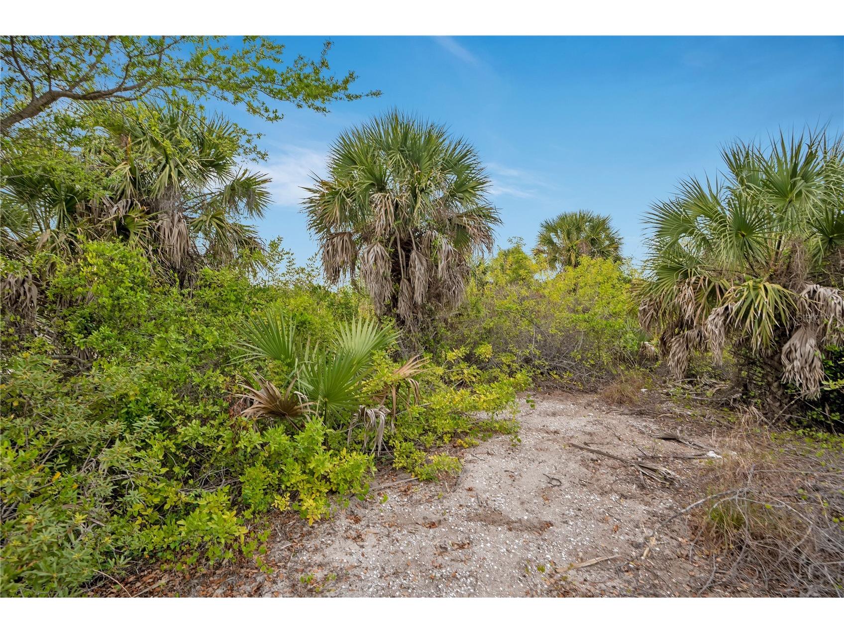 14246 Fort Worth Circle Port Charlotte FL 33981 O6392721 image7