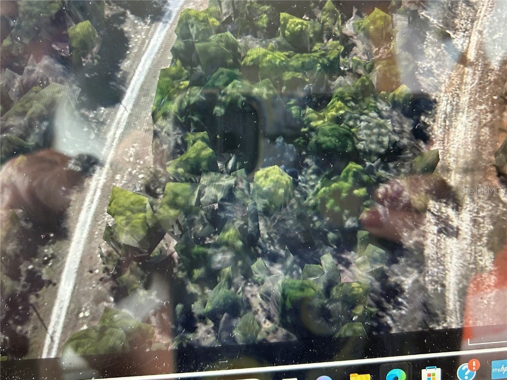 14247 Earline Road Weeki Wachee FL 34614 W7858696 image1
