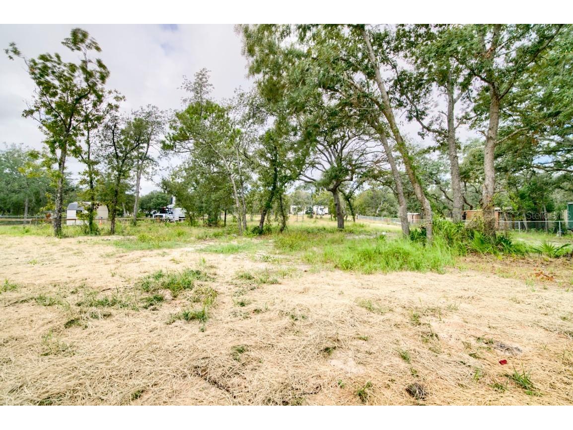 14247 Hurricane Drive Weeki Wachee FL 34614 O6352270 image41