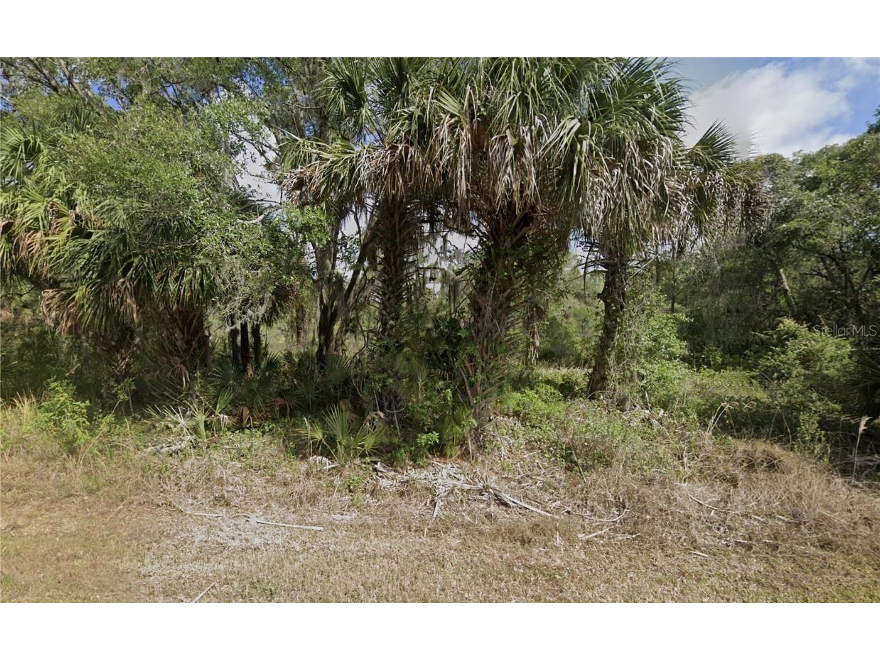 1425 Adalia Terrace Port Charlotte FL 33953 C7514978 image1