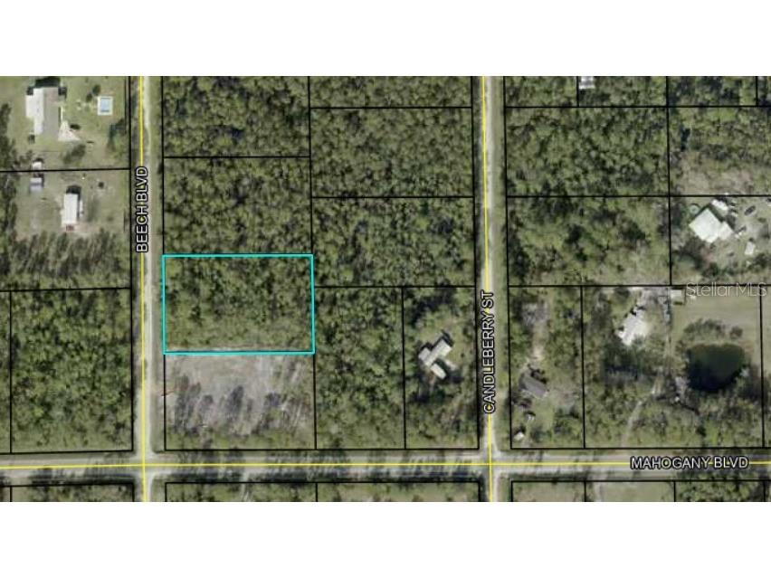 1425 Beech Boulevard Bunnell FL 32110 FC298421 image1