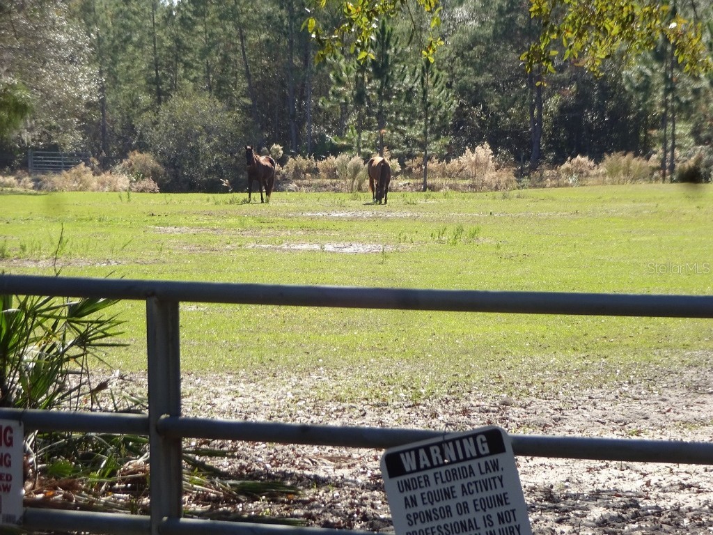 1425 Black Bear Ranch Trail Pierson FL 32180 V4922220 image1