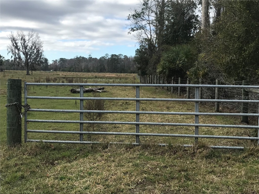 1425 Fort Christmas Road Chuluota FL 32766 - LAKE PICKETT O6176803 image1