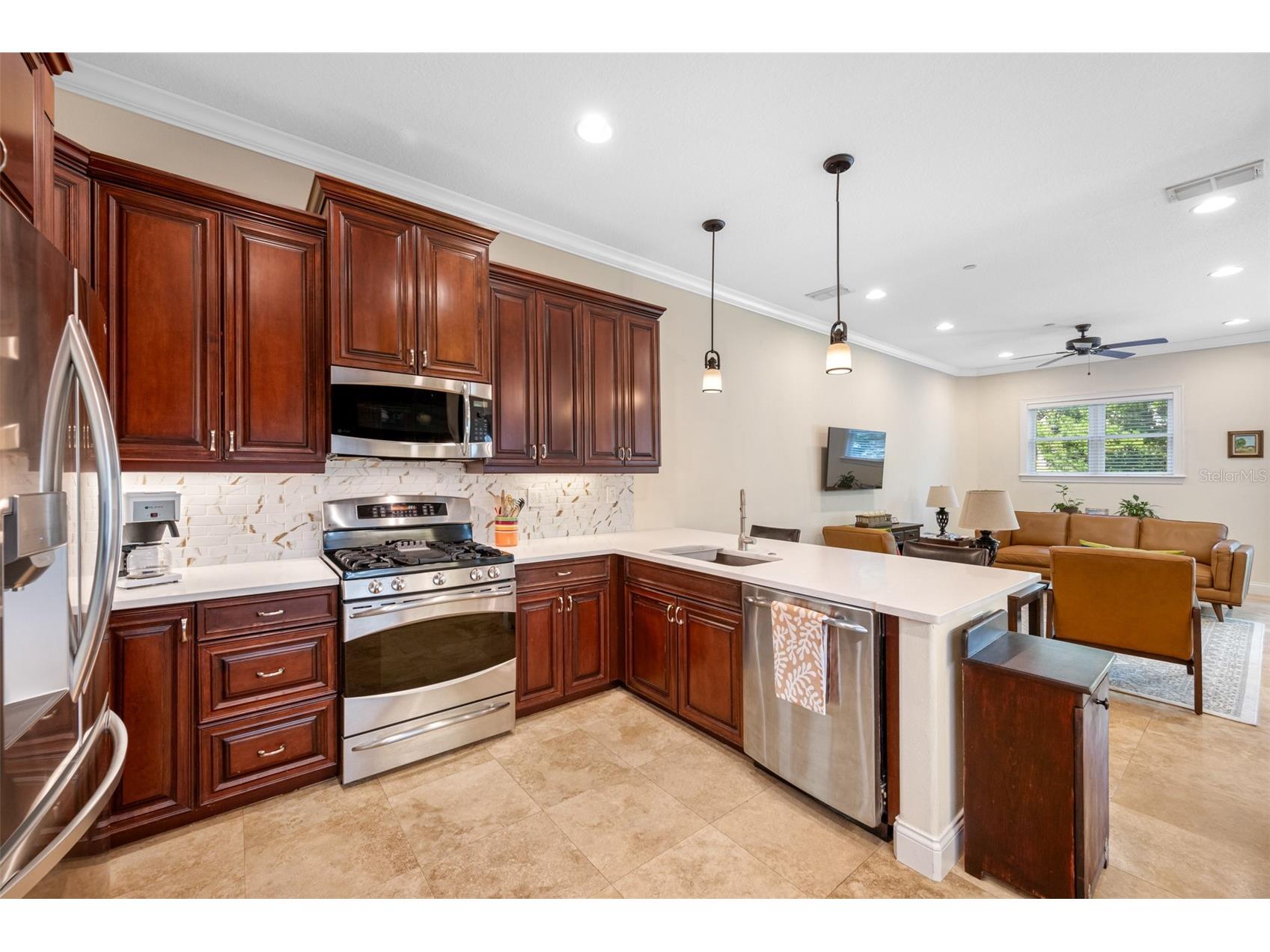 1425 Hillside Landing Drive Tarpon Springs FL 34688 TB8474217 image16