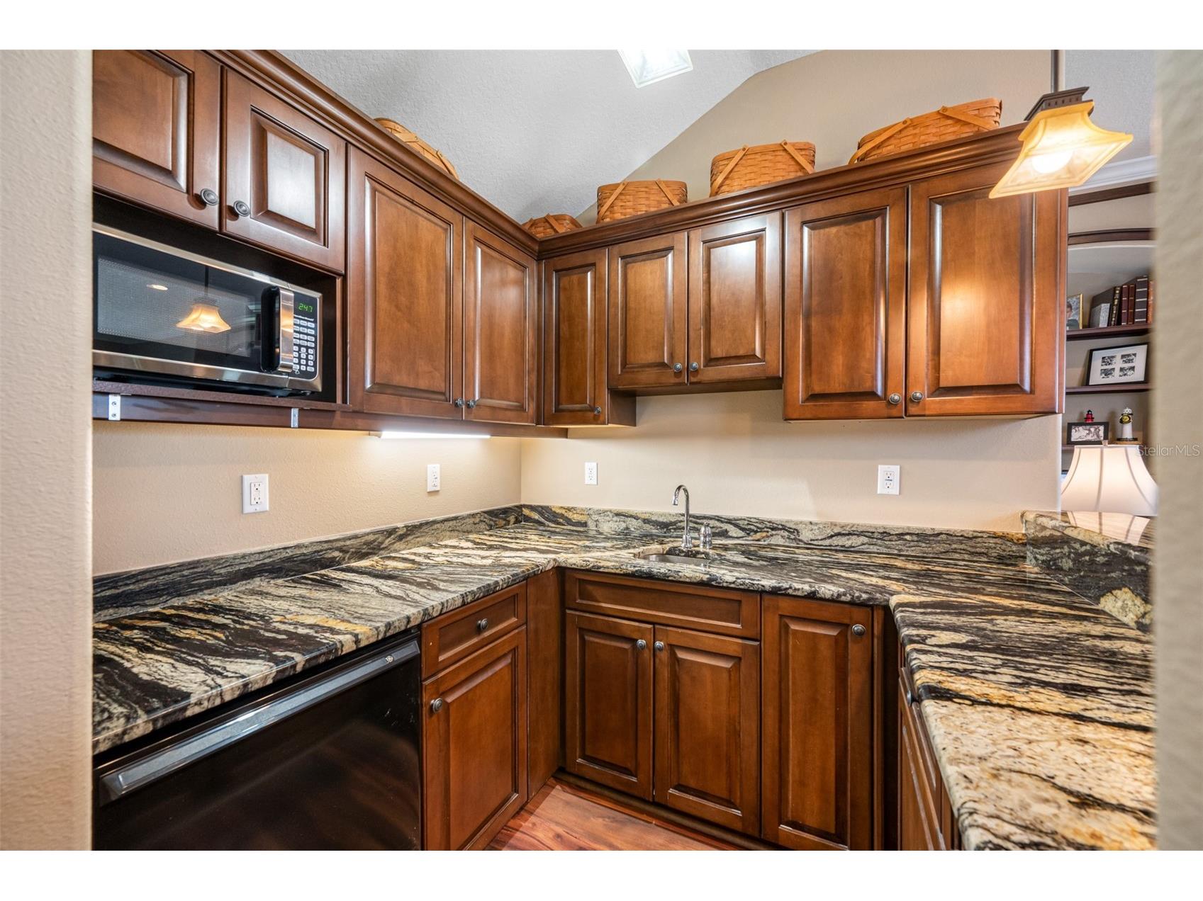1425 Hillside Landing Drive Tarpon Springs FL 34688 TB8474217 image44