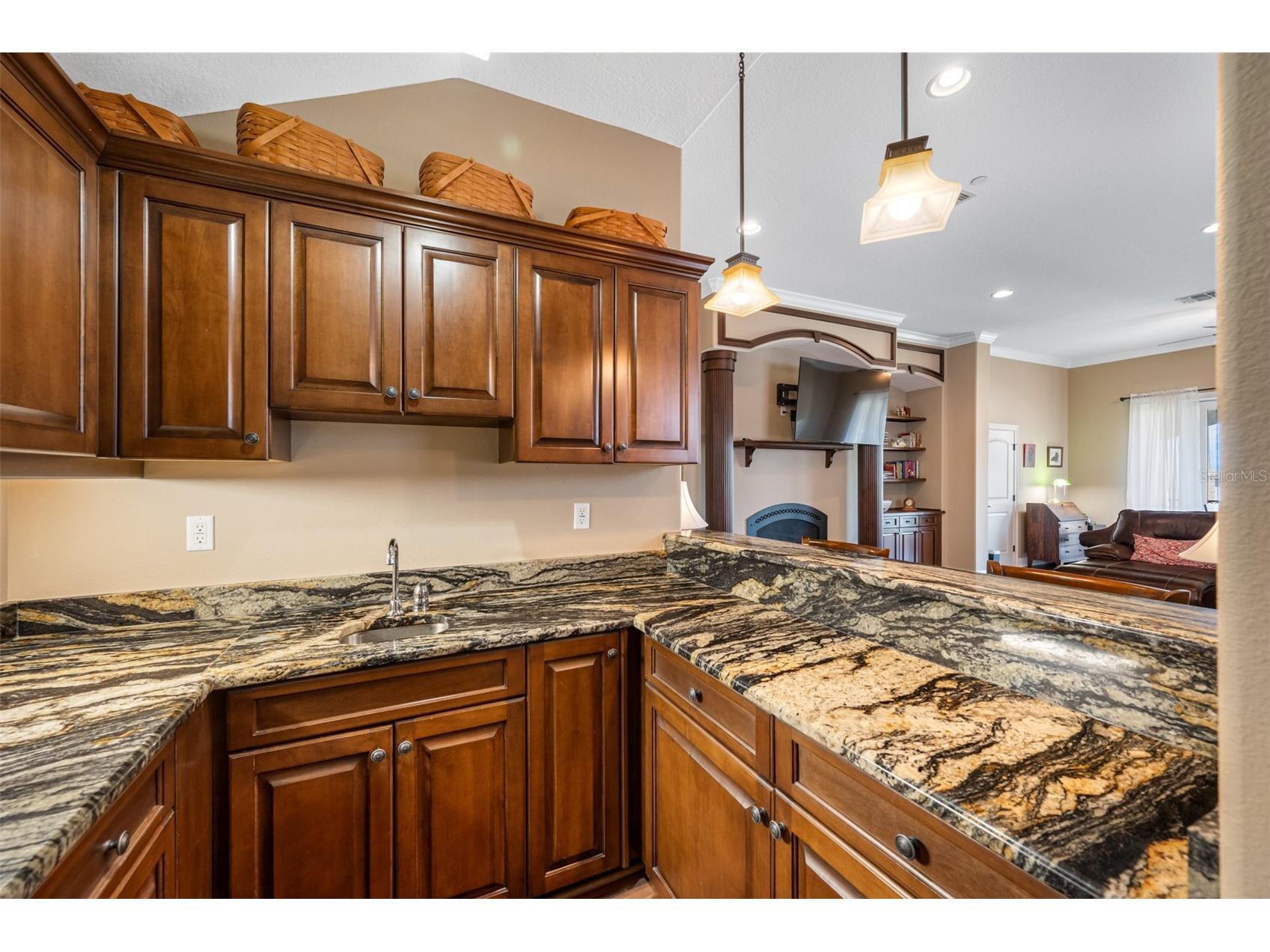 1425 Hillside Landing Drive Tarpon Springs FL 34688 TB8474217 image45