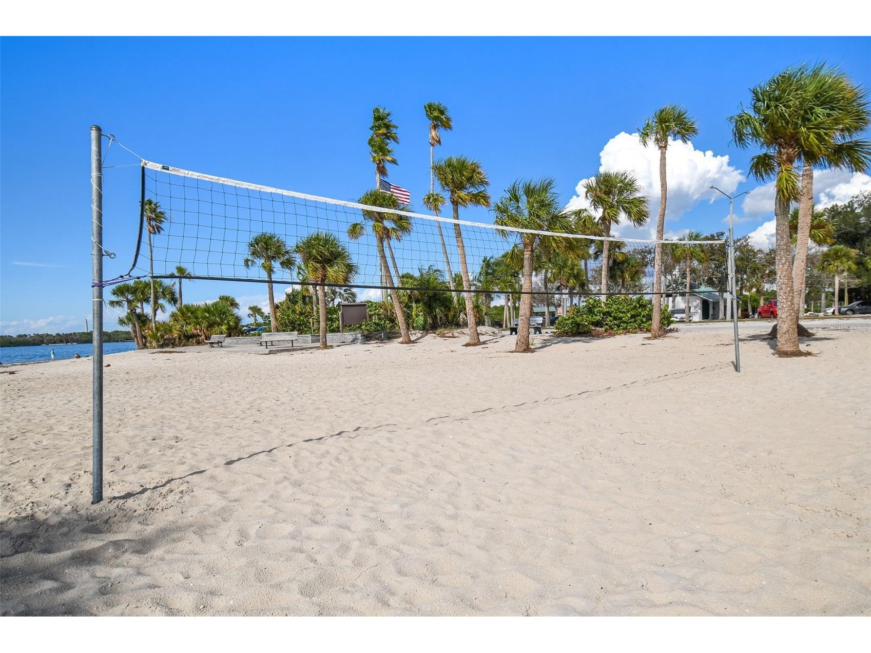 1425 Poinsettia Avenue Tarpon Springs FL 34689 TB8517370 image45