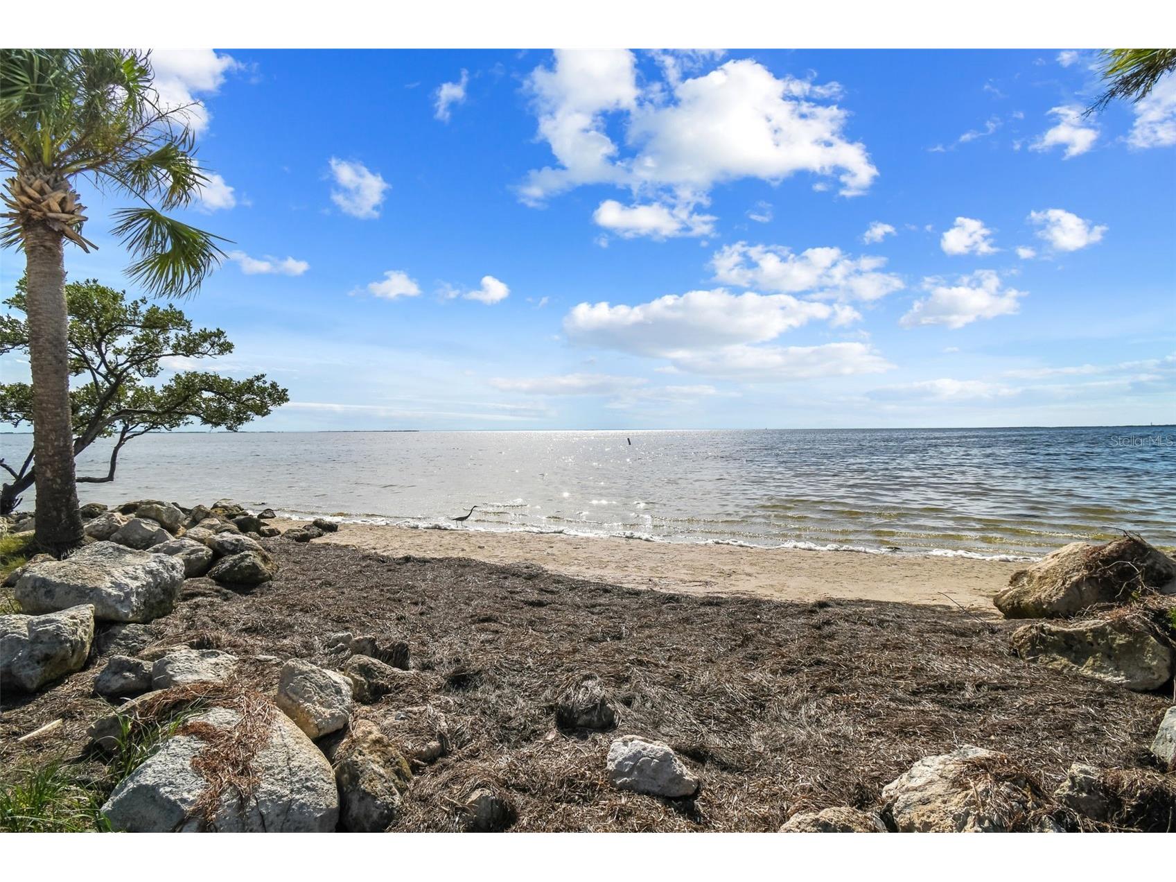 1425 Poinsettia Avenue Tarpon Springs FL 34689 TB8517370 image48