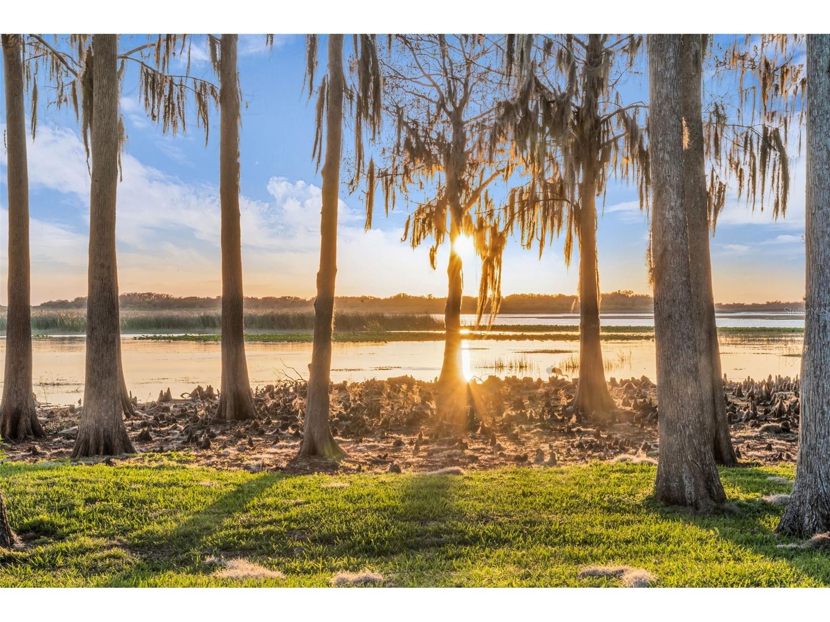1425 Riviera Drive Kissimmee FL 34744 - LAKE TOHO O6386384 image56