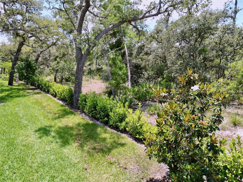 1425 Serendipity Lane Clermont FL 34714 S5127261 image77