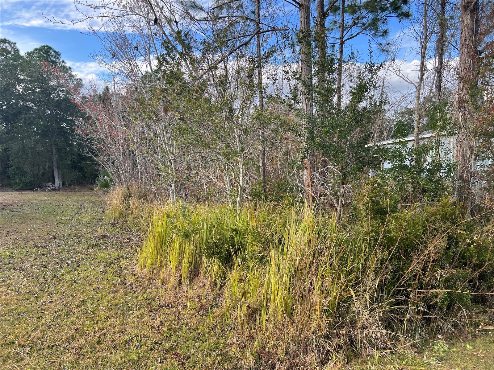 1425 Teal Drive Kissimmee FL 34759 S5142336 image1