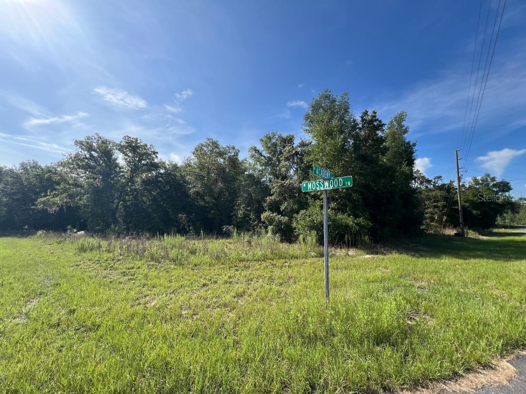 1425 W Mosswood Lane Citrus Springs FL 34434 OM704657 image1