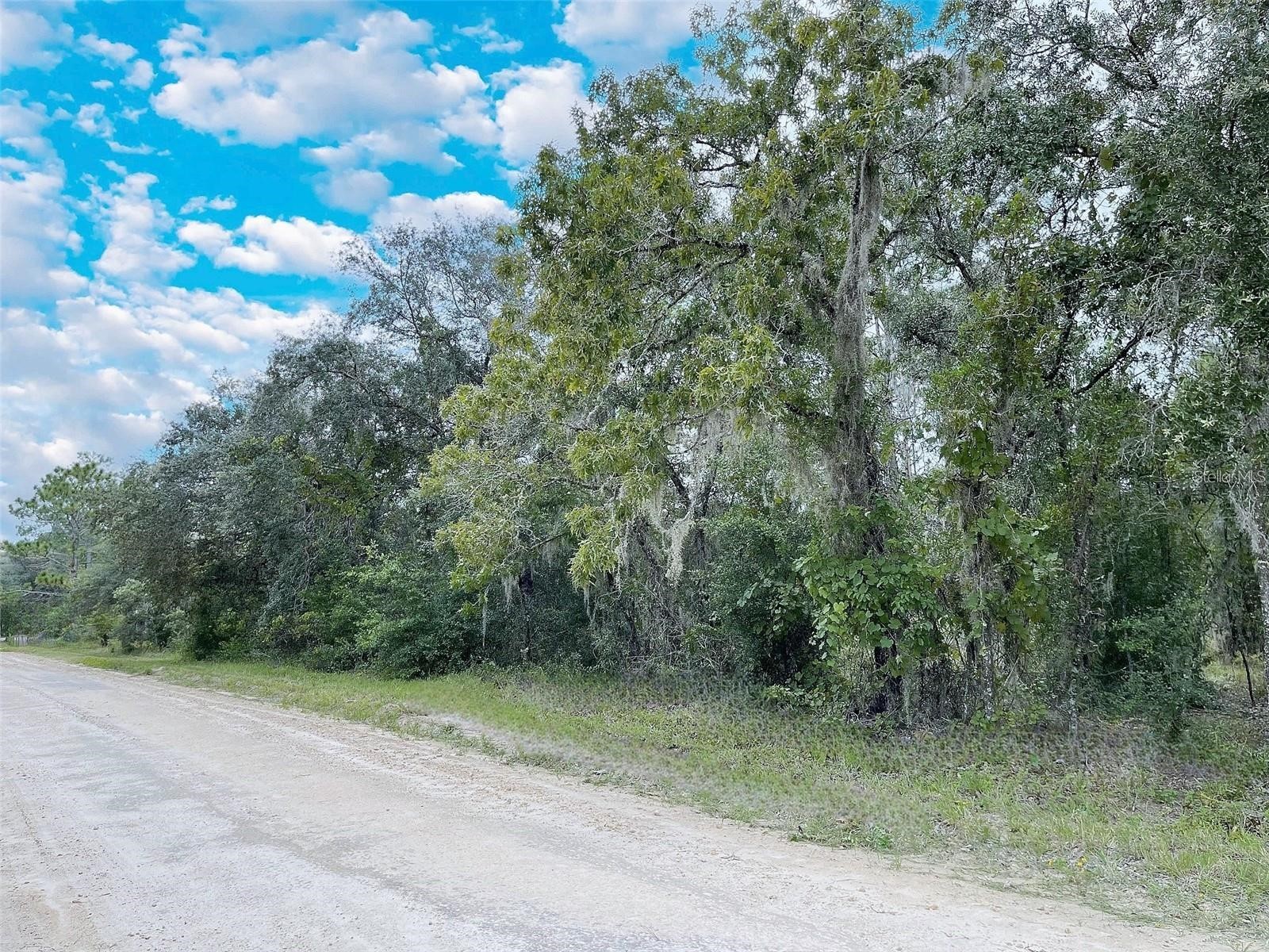 14250 SE 2nd Street Williston FL 32696 OM724424 image1