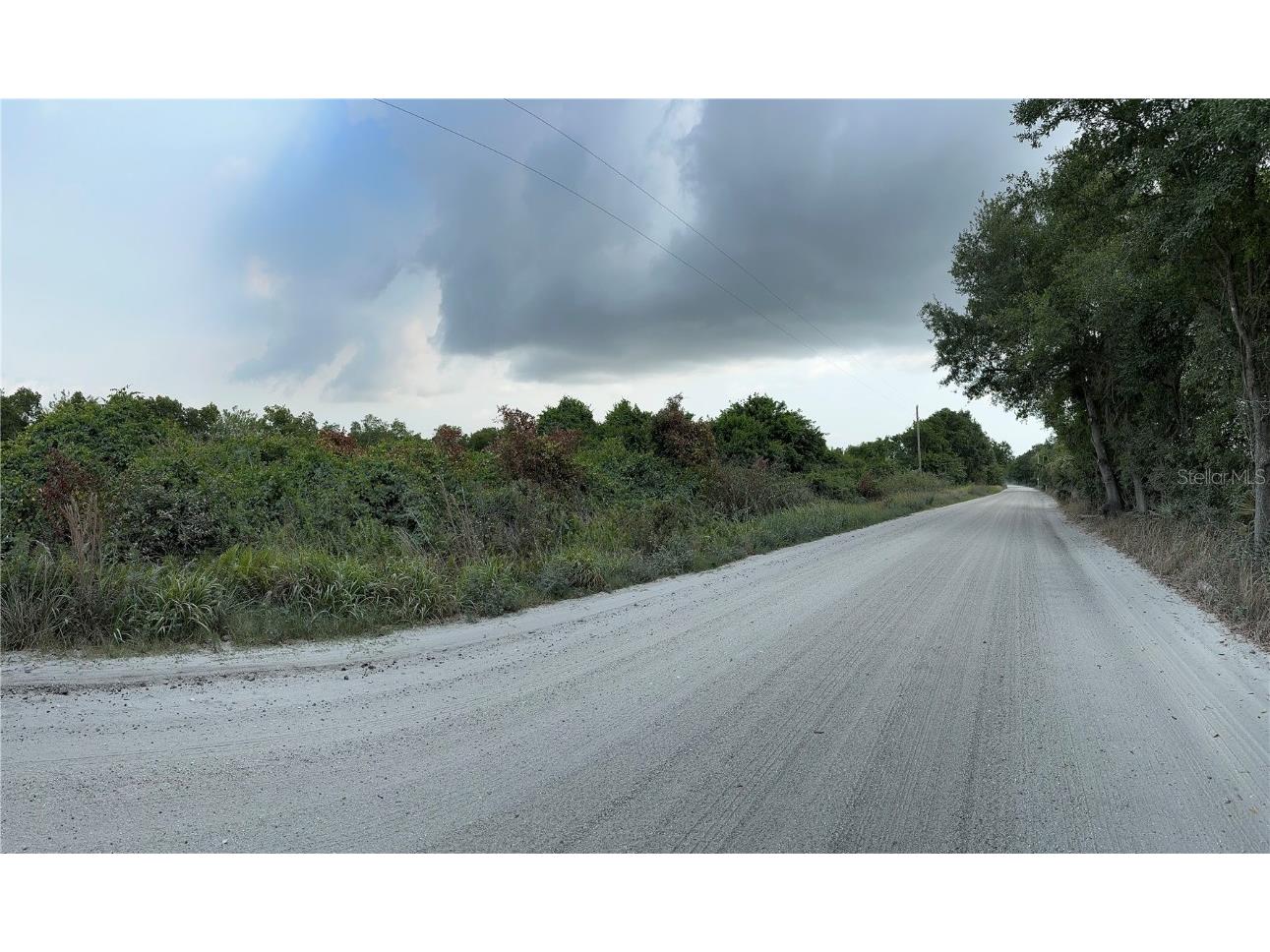 14250 Seminole Trail Wimauma FL 33598 T3523315 image1