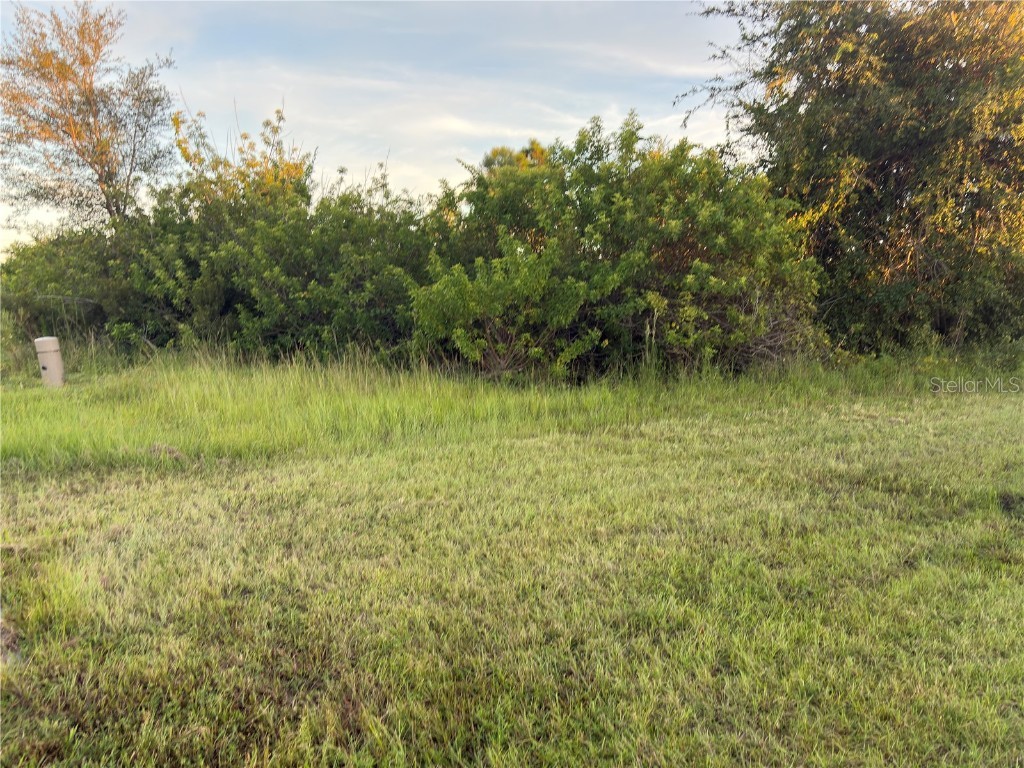 14251 Ingraham Boulevard Port Charlotte FL 33981 A4670658 image1