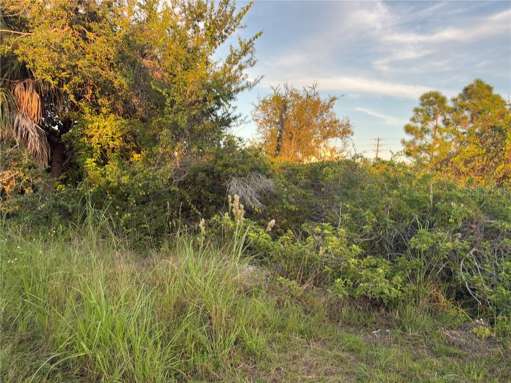 14251 Ingraham Boulevard Port Charlotte FL 33981 A4670658 image5