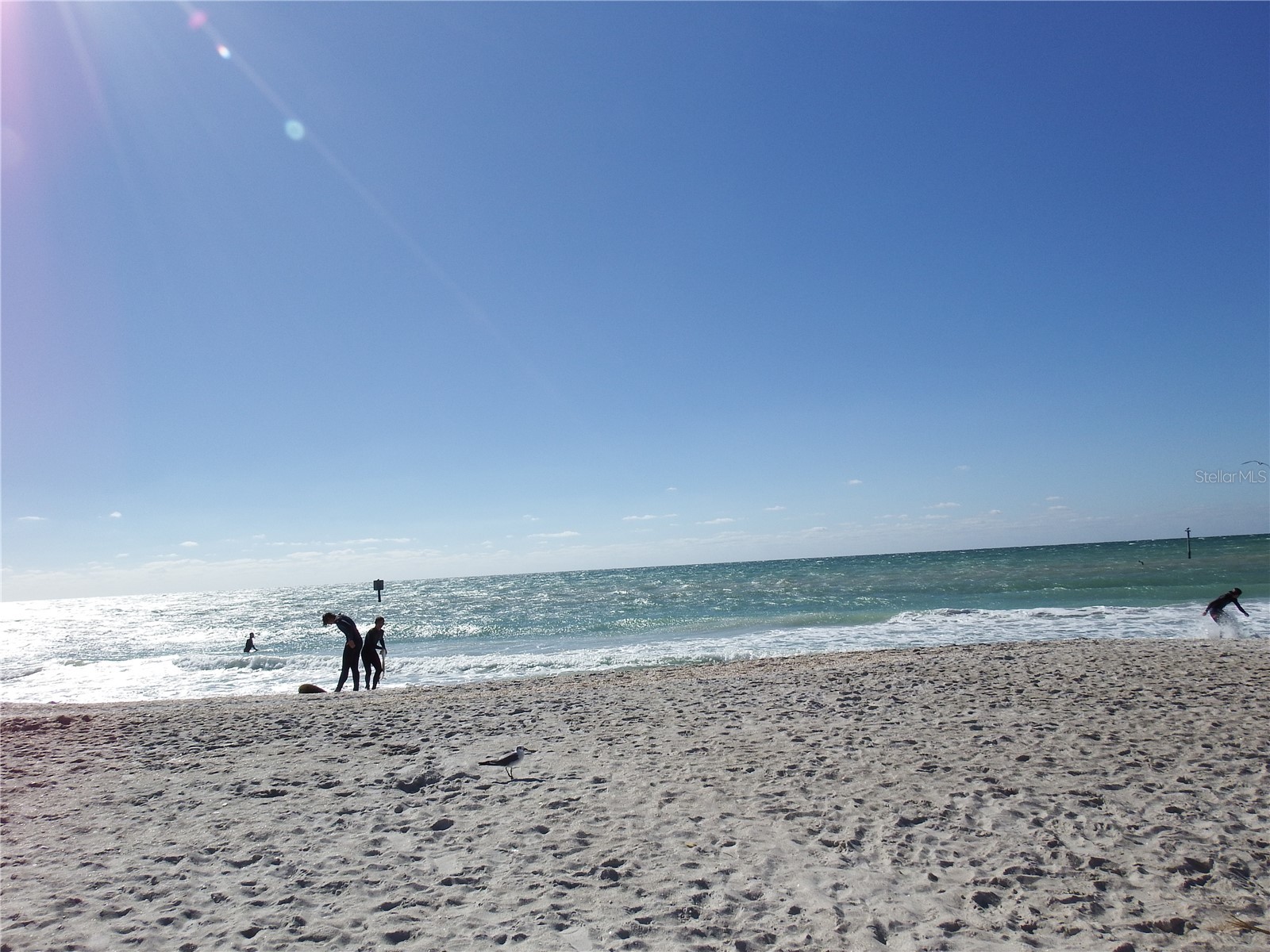 14251 San Domingo Boulevard Port Charlotte FL 33981 D6142239 image21