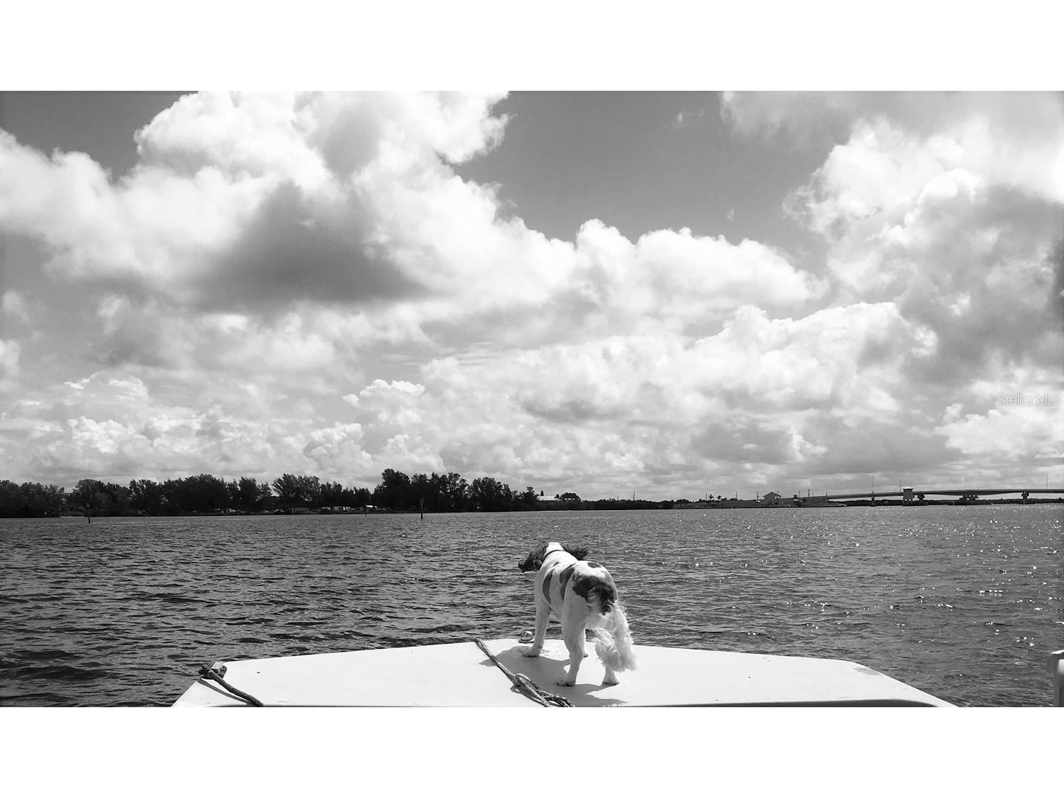 14251 San Domingo Boulevard Port Charlotte FL 33981 D6142239 image26