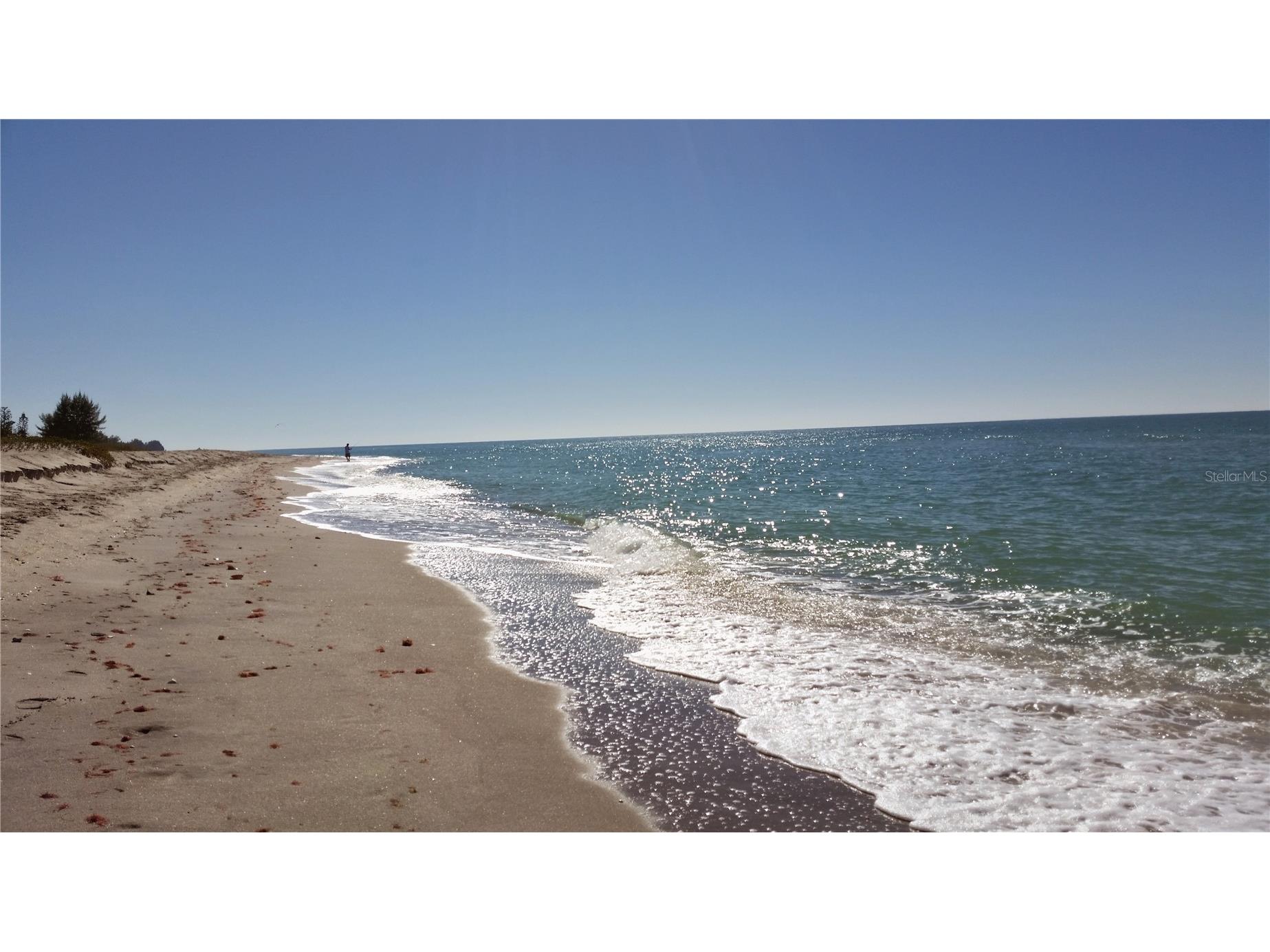 14251 San Domingo Boulevard Port Charlotte FL 33981 D6142239 image78