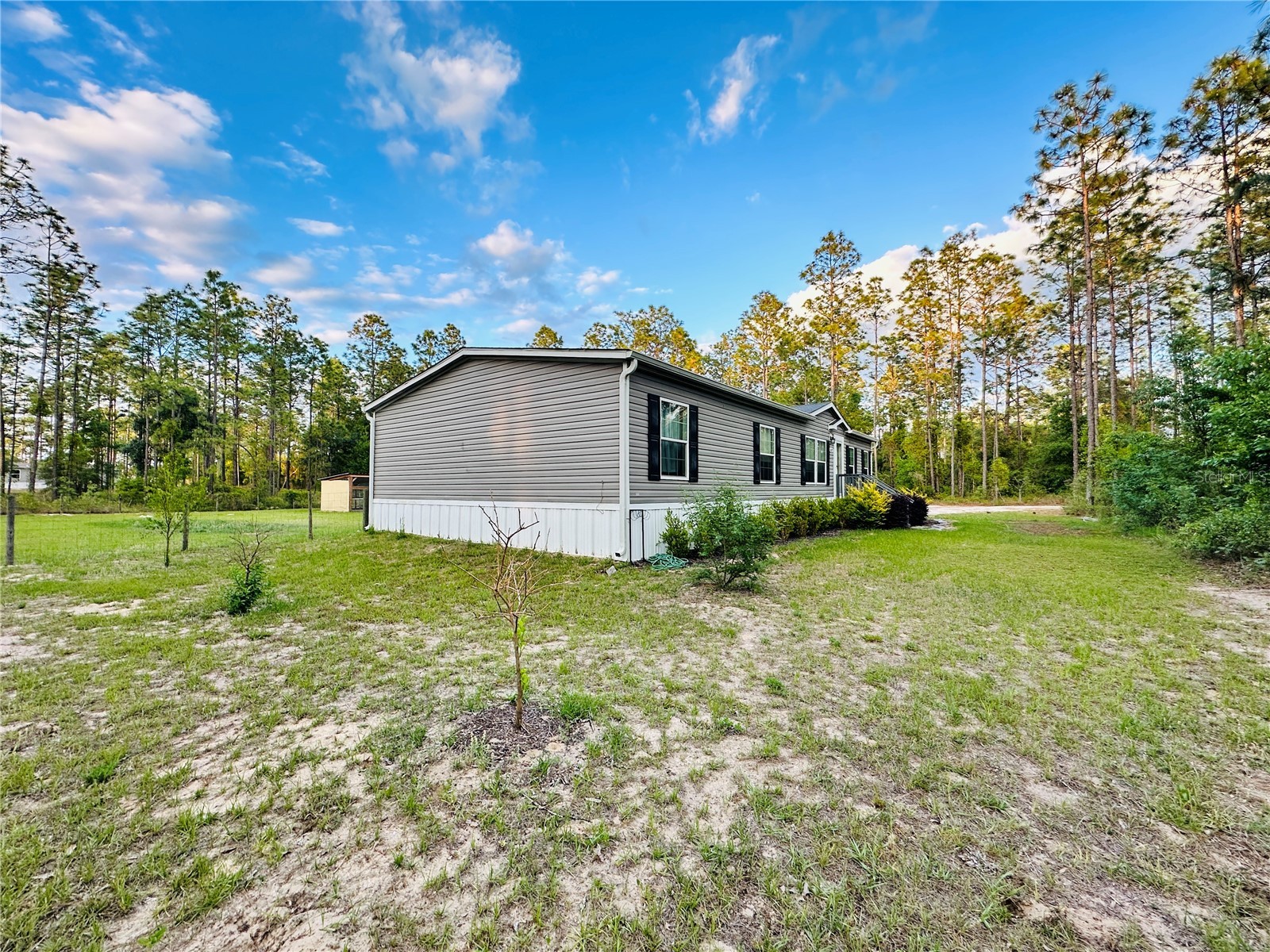 14251 SE 21st Place Morriston FL 32668 OM723508 image11