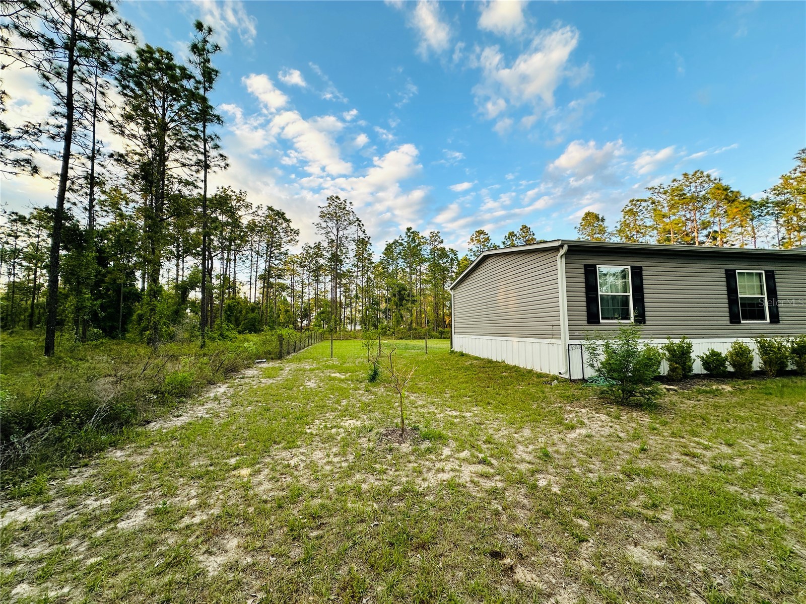 14251 SE 21st Place Morriston FL 32668 OM723508 image12