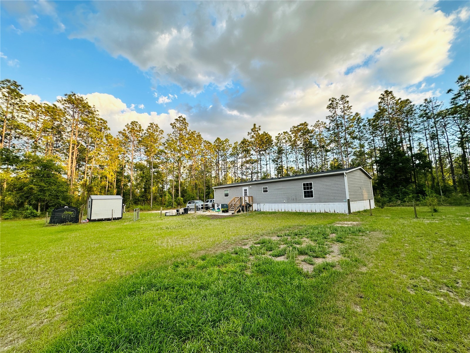 14251 SE 21st Place Morriston FL 32668 OM723508 image13